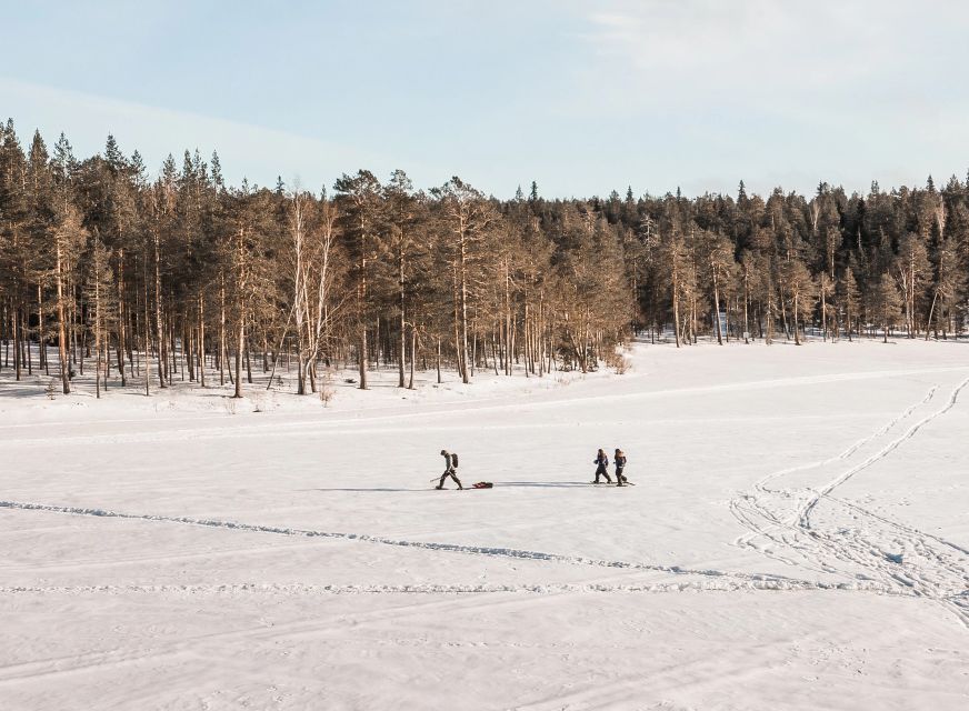 Rovaniemi: Winter Wilderness Snowshoeing Trip - Should you book it?