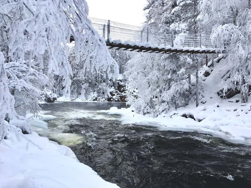 Ruka: Oulanka National Park Snowshoeing Tour - Starting at the safari office