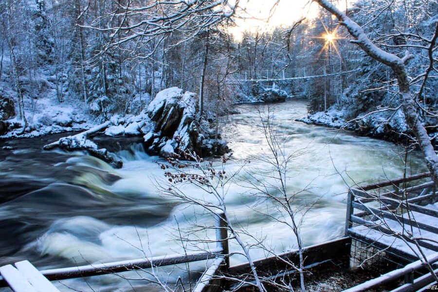 Ruka: Oulanka National Park Snowshoeing Tour - Who will enjoy this snowshoe tour