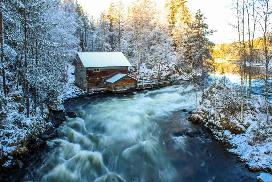Ruka: Oulanka National Park Snowshoeing Tour - Nature stories along the trail