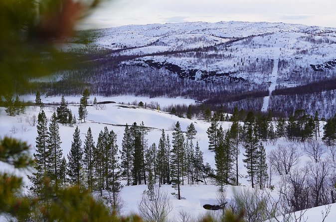 Russian Border Snowshoe Hike - Is $201.88 a Fair Price?