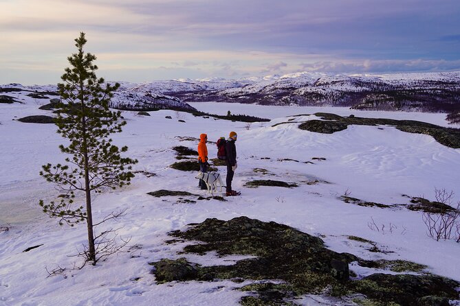 Russian Border Snowshoe Hike - Who Should Book This Kirkenes Experience?