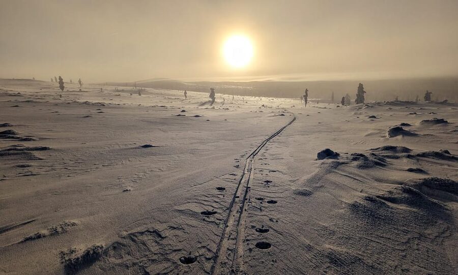 Saariselkä: Back-Country Skiing Guided Tour - Key points to know before you book