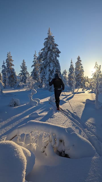 Saariselkä: Back-Country Skiing Guided Tour - Leaving the marked trails near Saariselkä
