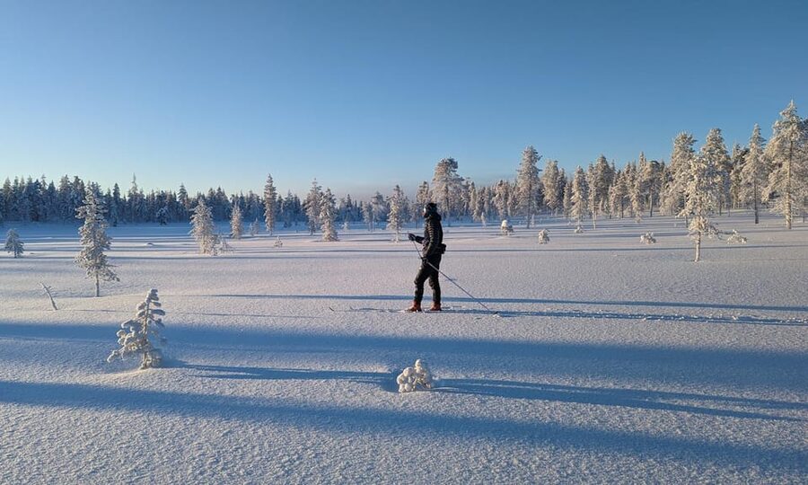 Saariselkä: Back-Country Skiing Guided Tour - Skiing through forests and fells