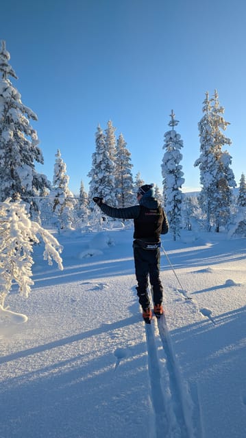 Saariselkä: Back-Country Skiing Guided Tour - Timing, weather, and practical planning