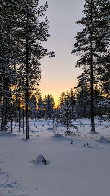 Saariselkä: Guided Forest Snowshoe Walk - Getting used to the snowshoes
