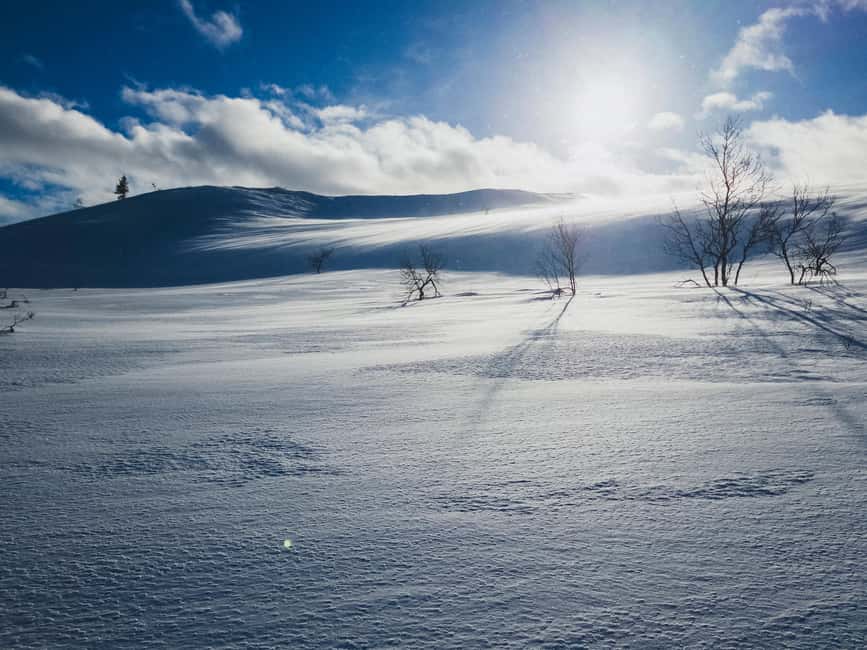 Saariselkä: Guided Forest Snowshoe Walk - What the small group changes