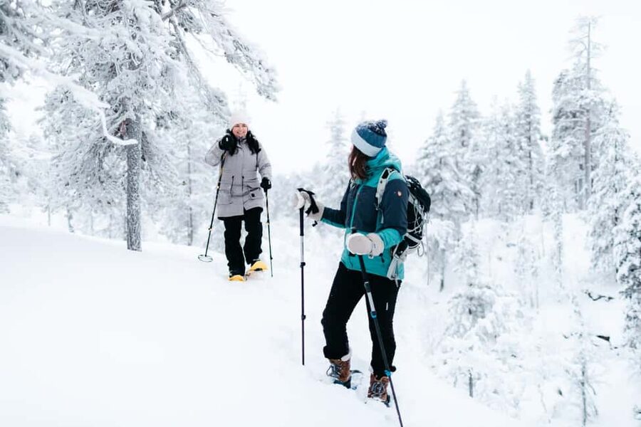 Saariselkä: Guided Forest Snowshoe Walk - Meeting outside Restaurant Kuksa