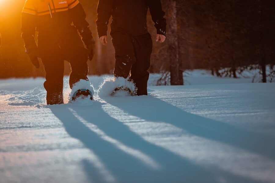 Saariselkä: Northern Lights Hunting Snowshoe Trip - Key points to know before you go