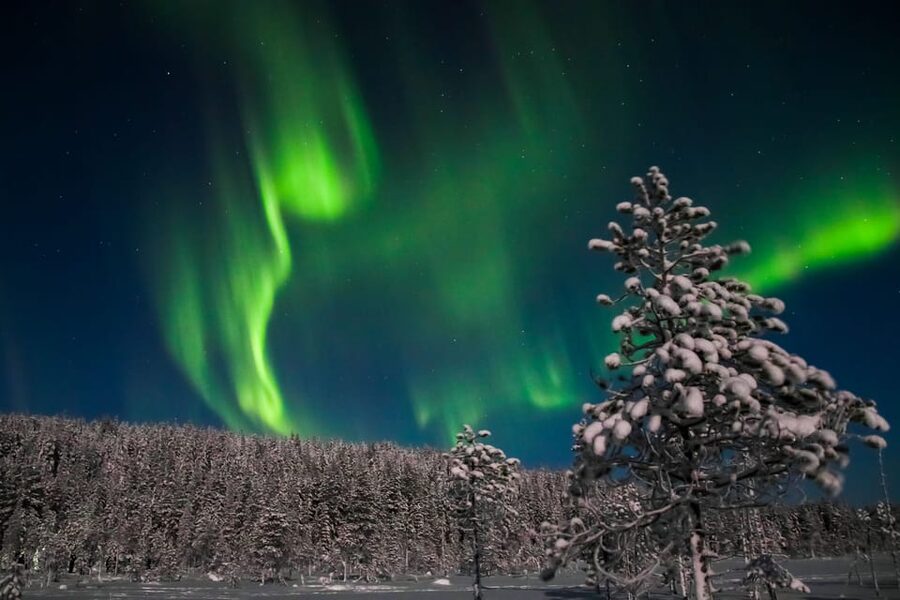 Saariselkä: Northern Lights Hunting Snowshoe Trip - Why a short night walk can feel so big