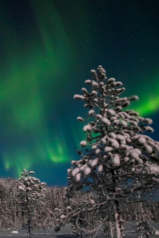 Saariselkä: Northern Lights Hunting Snowshoe Trip - How strenuous is the snowshoeing?