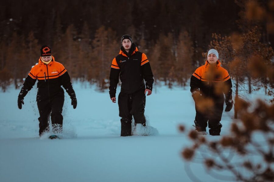 Saariselkä: Northern Lights Hunting Snowshoe Trip - What the $111 price includes