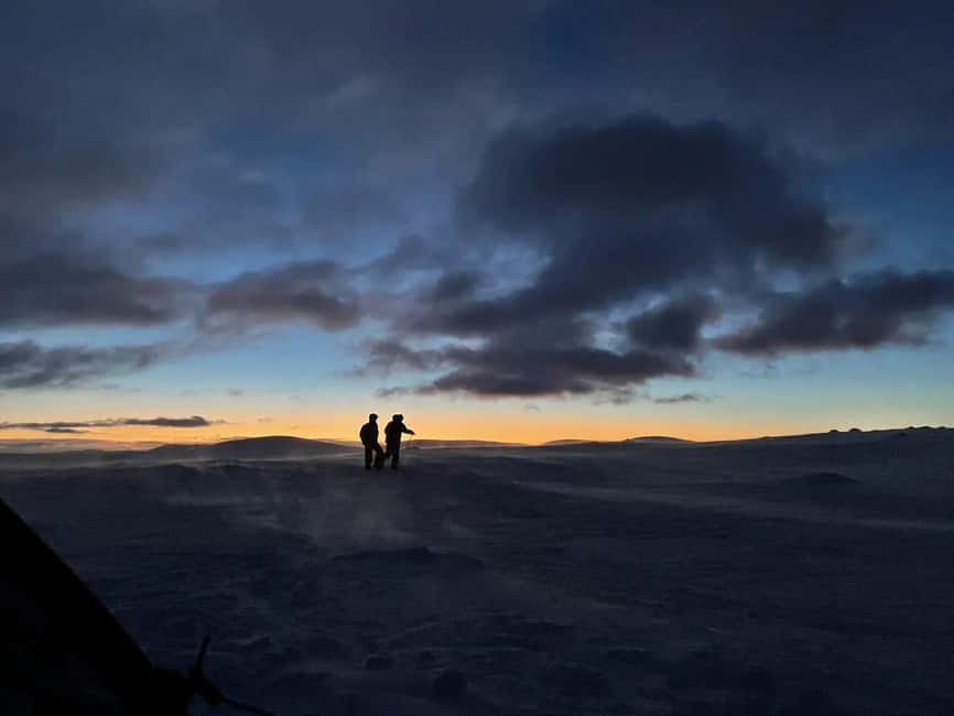 Sälen: Northern Lights Snowshoe Adventure with Pickup - Key points to know before you book