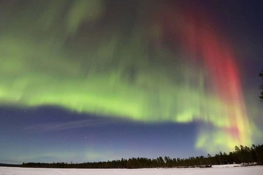 Sälen: Northern Lights Snowshoe Adventure with Pickup - Searching the sky for the aurora