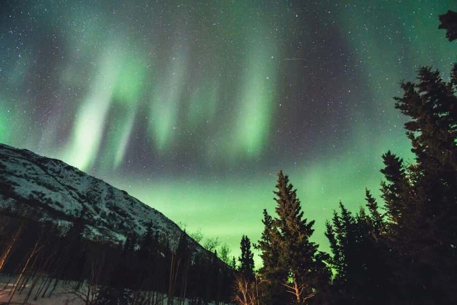 Sälen: Northern Lights Snowshoe Adventure with Pickup - Guides, group size, and the human side