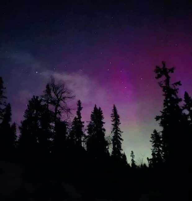 Sälen: Northern Lights Snowshoe Adventure with Pickup - Learning to walk on snowshoes