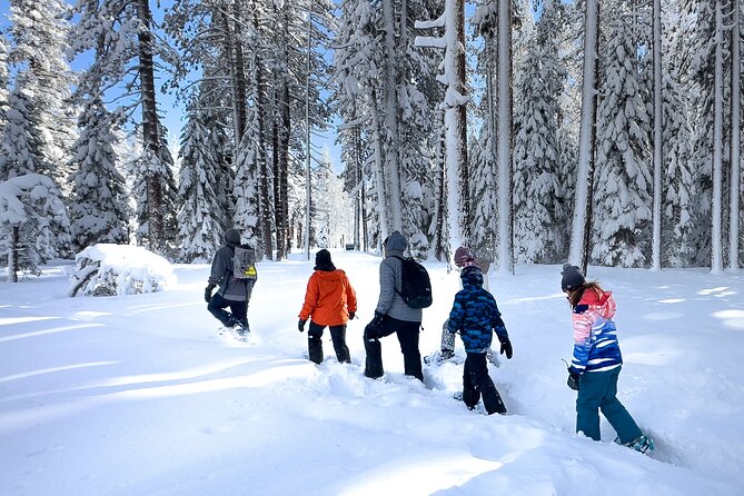 Scenic Snowshoe Adventure in South Lake Tahoe, CA - Families, couples, and mixed-ability groups