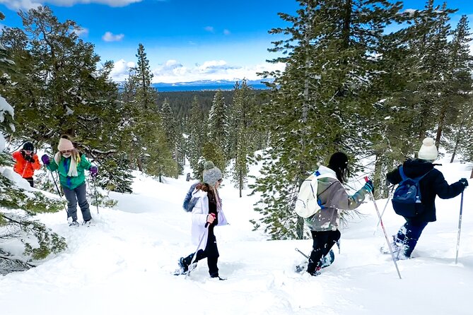 Scenic Snowshoe Adventure in South Lake Tahoe, CA - Booking, group size, and weather rules