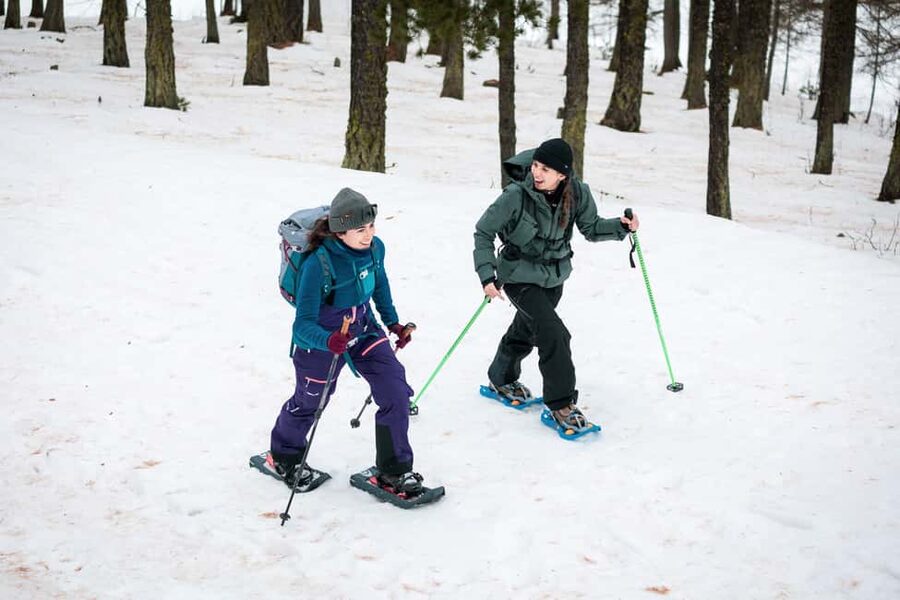 Scenic snowshoe hike in Sestriere - Why this snowshoe walk is different from a ski day