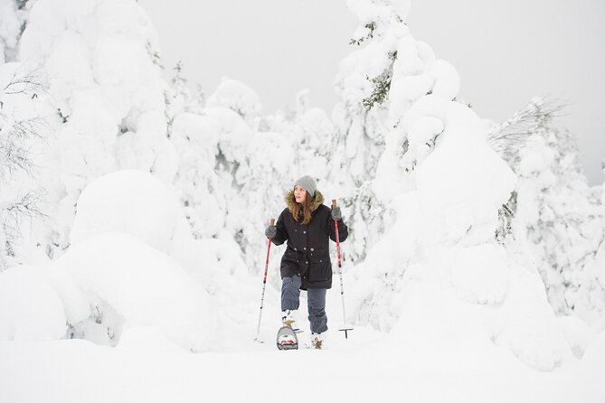 Scenic Snowshoeing on the Top of Pyhä Fell - Views across Pyhä-Luosto National Park