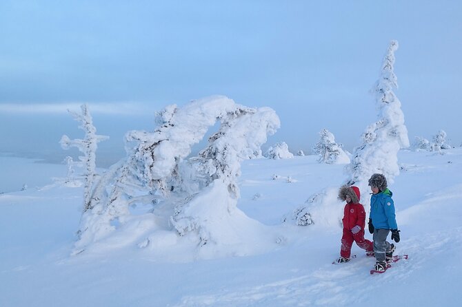 Scenic Snowshoeing on the Top of Pyhä Fell - Stories about Arctic nature and old Lappish beliefs