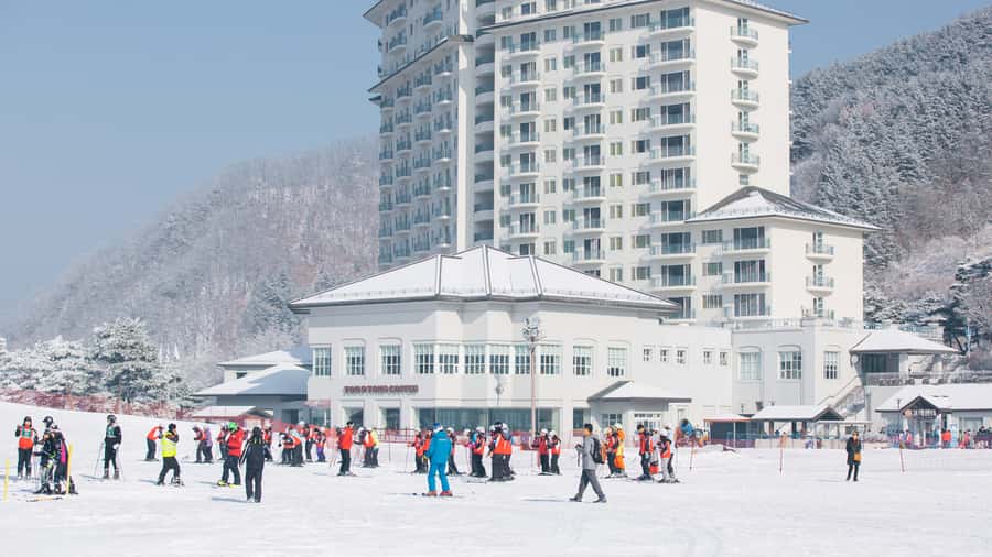 Seoul: Elysian Gangchon Winter Ski Resort Fun Day Tour - What the $15 price really means