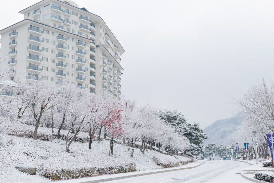 Seoul: Elysian Gangchon Winter Ski with Nami Island Day Tour - Who will enjoy this winter day trip