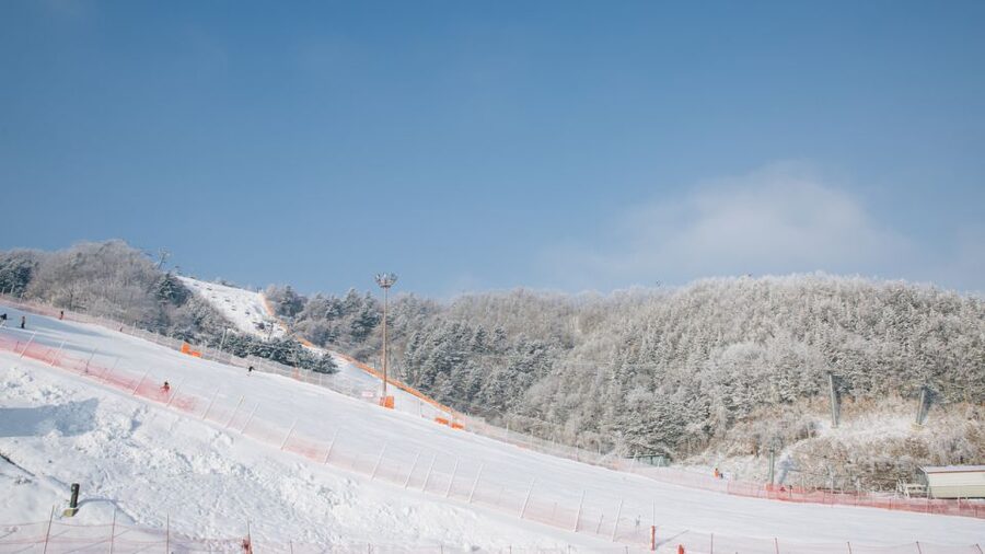Seoul: Elysian Gangchon Winter Ski with Nami Island Day Tour - The short transfer to Elysian Gangchon
