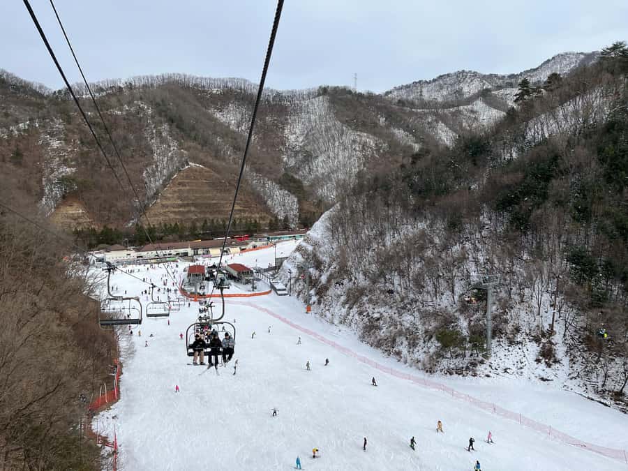 Seoul: Elysian Ski Resort One Day Tour - Key points to know before booking