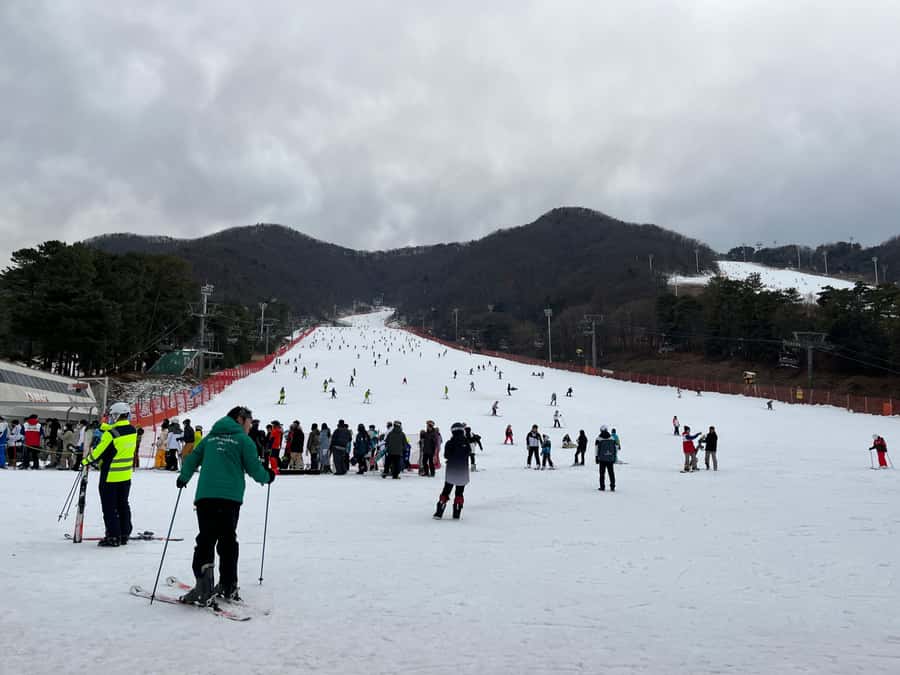 Seoul: Elysian Ski Resort One Day Tour - Who should book this winter outing