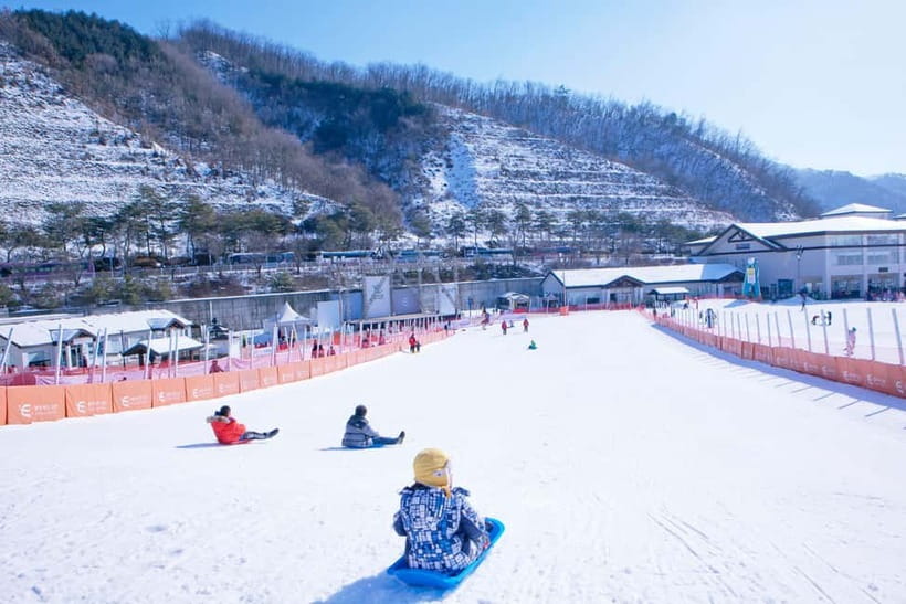 Seoul: Full-Day Winter Trip Ski Resort, Ice Valley, Namiseom - Key points at a glance