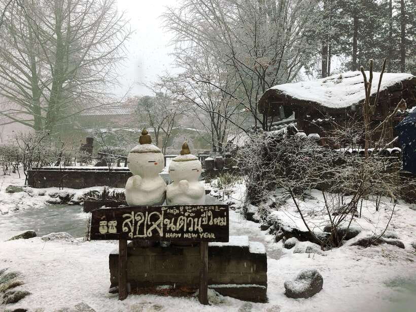 Seoul: Full-Day Winter Trip Ski Resort, Ice Valley, Namiseom - Why this makes a good Seoul winter day trip