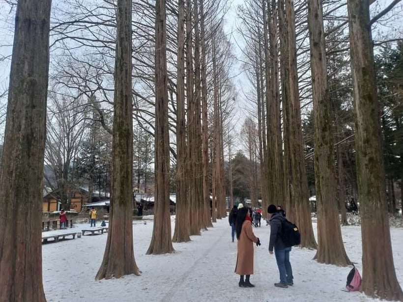 Seoul: Full-Day Winter Trip Ski Resort, Ice Valley, Namiseom - Eobi Ice Valley: a short, striking finish