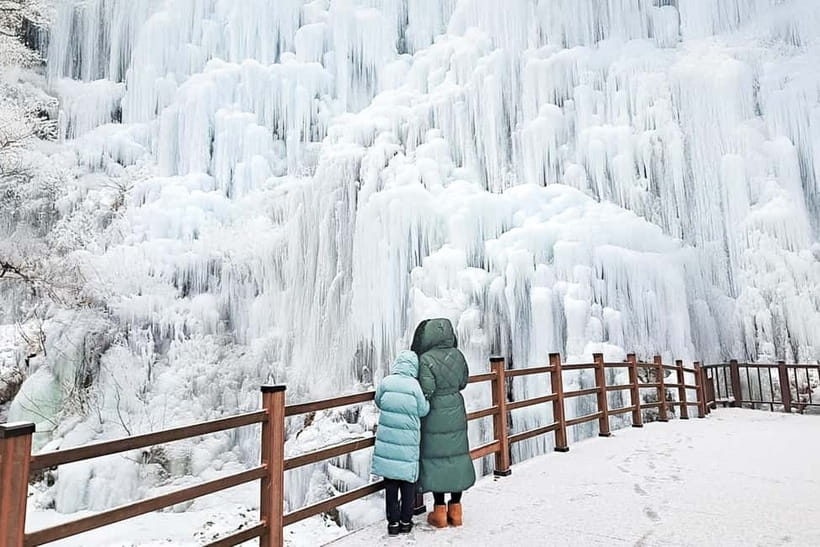 Seoul: Full-Day Winter Trip Ski Resort, Ice Valley, Namiseom - What the $48 price really covers
