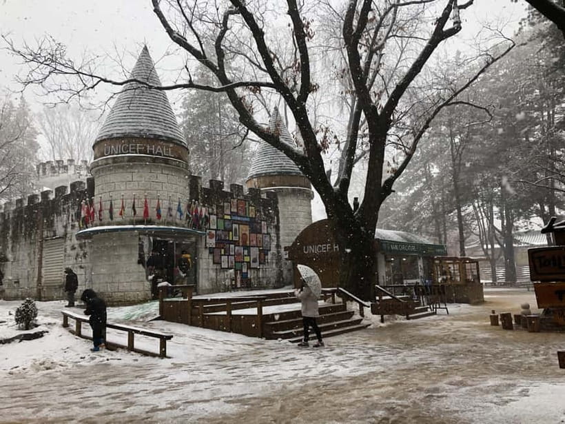 Seoul: Full-Day Winter Trip Ski Resort, Ice Valley, Namiseom - Timing, comfort, and who should skip it