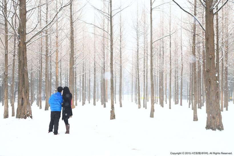 Seoul: Full-Day Winter Trip Ski Resort, Ice Valley, Namiseom - FAQ