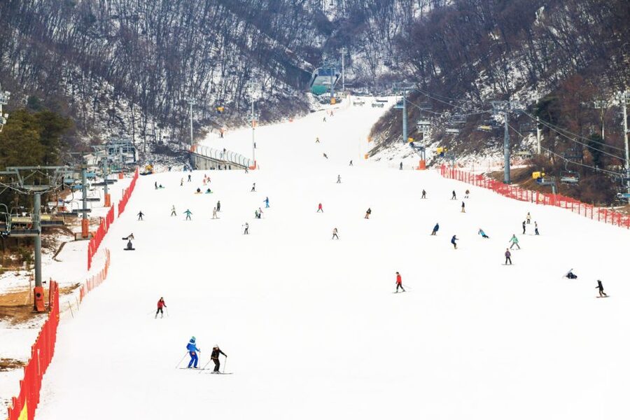 Seoul: Jisan Forest Winter Ski Day Tour with Basic Lesson - Trading Seoul for Jisan’s snowy slopes
