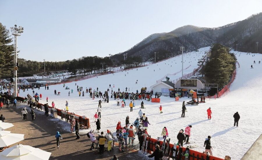 Seoul: Jisan Forest Winter Ski Day Tour with Basic Lesson - Seven slopes, from first turns to stronger runs