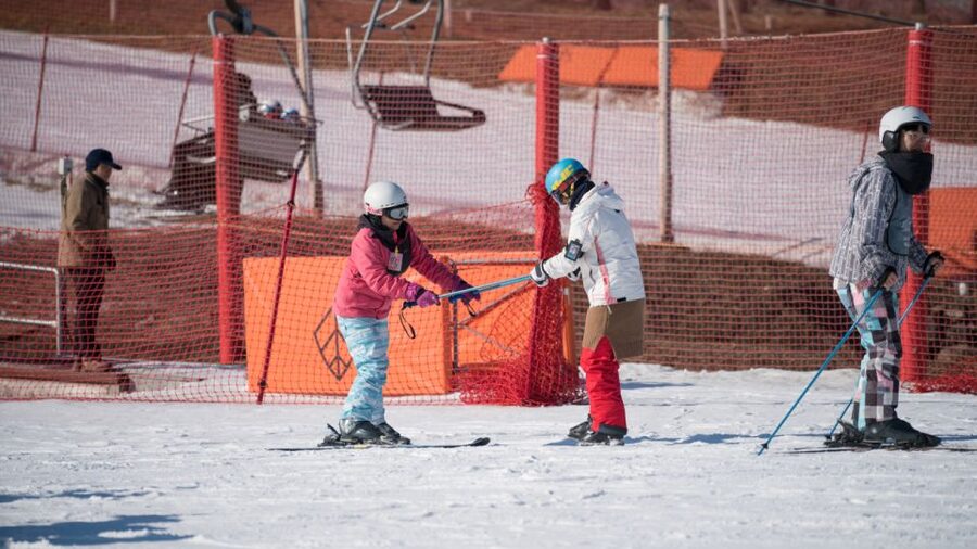 Seoul: Jisan Forest Winter Ski Day Tour with Basic Lesson - Choosing the right package at $19
