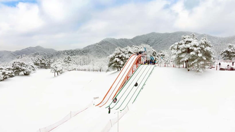 Seoul: Vivaldi Park Winter Ski with Eobi Ice Valley Day Tour - Key points at a glance