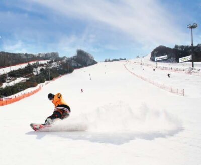 Seoul: Vivaldi Park Winter Ski with Eobi Ice Valley Day Tour