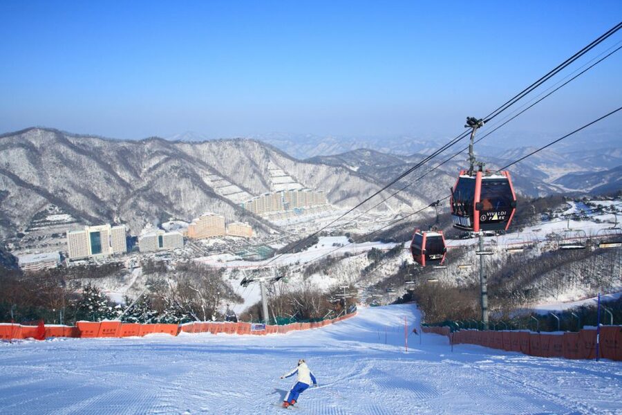 Seoul: Vivaldi Park Winter Ski with Nami Island Day Tour - Key points to know before booking