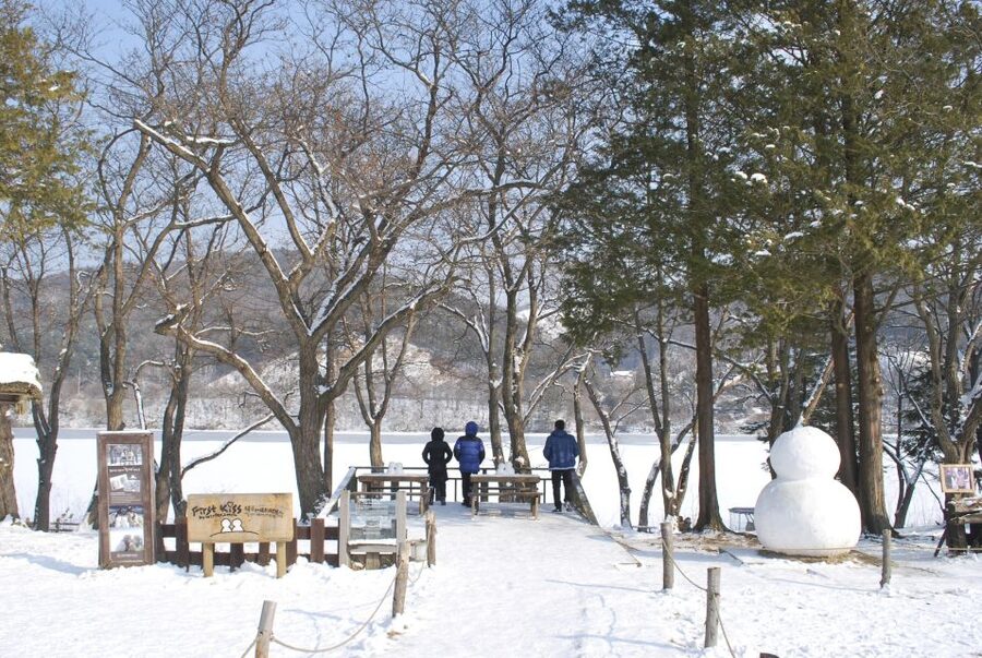 Seoul: Vivaldi Park Winter Ski with Nami Island Day Tour - A winter day built around two very different stops