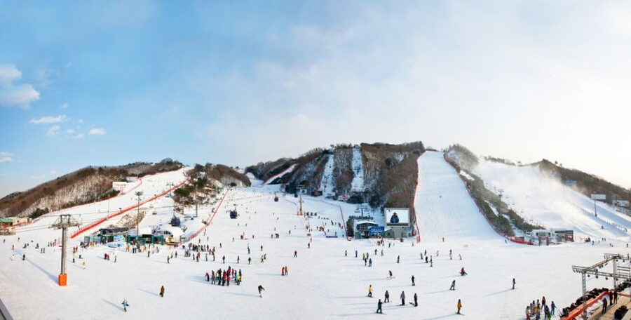 Seoul: Vivaldi Park Winter Ski with Nami Island Day Tour - Choosing between ski, snowboard, sled, and shuttle