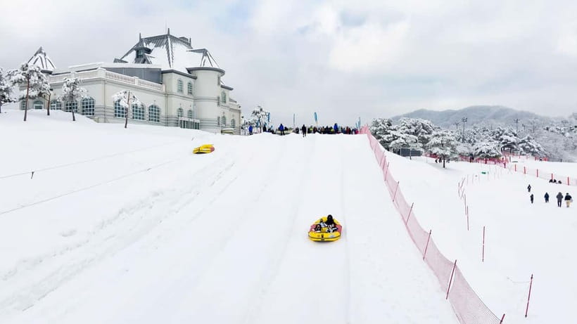 Seoul: Vivaldi Park Winter Ski with Nami Island Day Tour - What the $35 price really covers