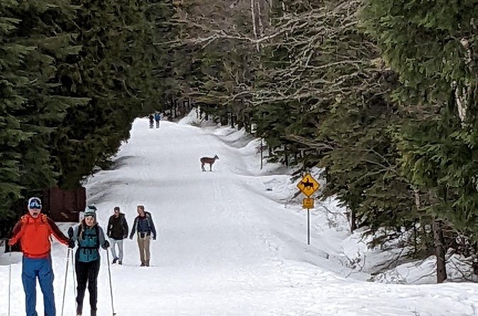 Shuttle to Snoqualmie Pass Ski and Snowboard - Small comforts make the ride easier