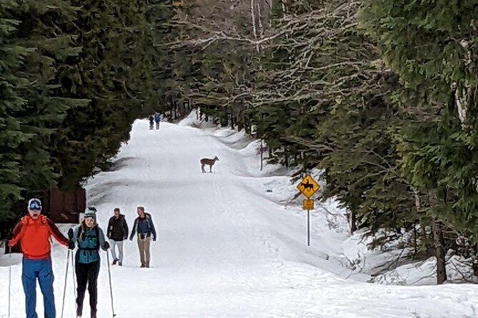 Shuttle to Snoqualmie Pass Ski and Snowboard - Who should book this Snoqualmie shuttle?