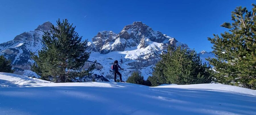 Sierra Nevada: Guided Snowshoe Tour - Starting at Los Peñones, 2,300 meters up