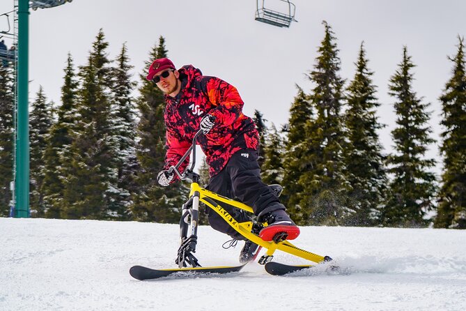 Ski Bike Rental in South Lake Tahoe - Delivery and pickup can change the value